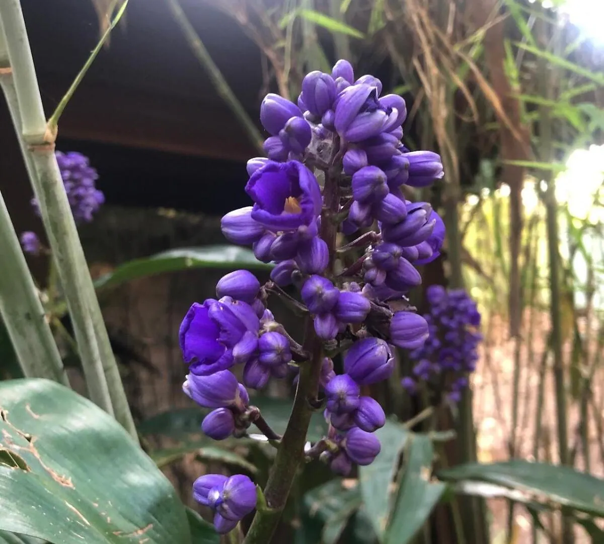 Apartamento Earthly Retreat - Private Noosa Hinterland Getaway Doonan