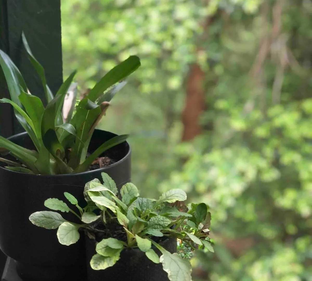Apartamento Earthly Retreat - Private Noosa Hinterland Getaway Doonan