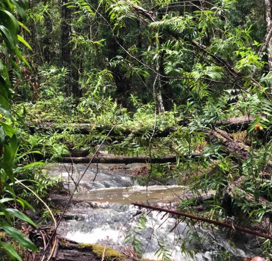 Apartamento Earthly Retreat - Private Noosa Hinterland Getaway Doonan