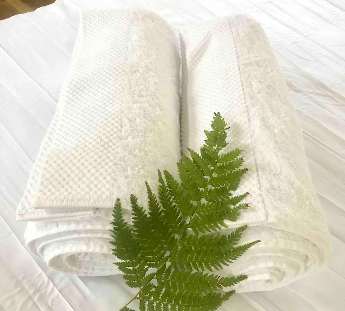Earthly Retreat - Private Noosa Hinterland Getaway Lejlighed Doonan