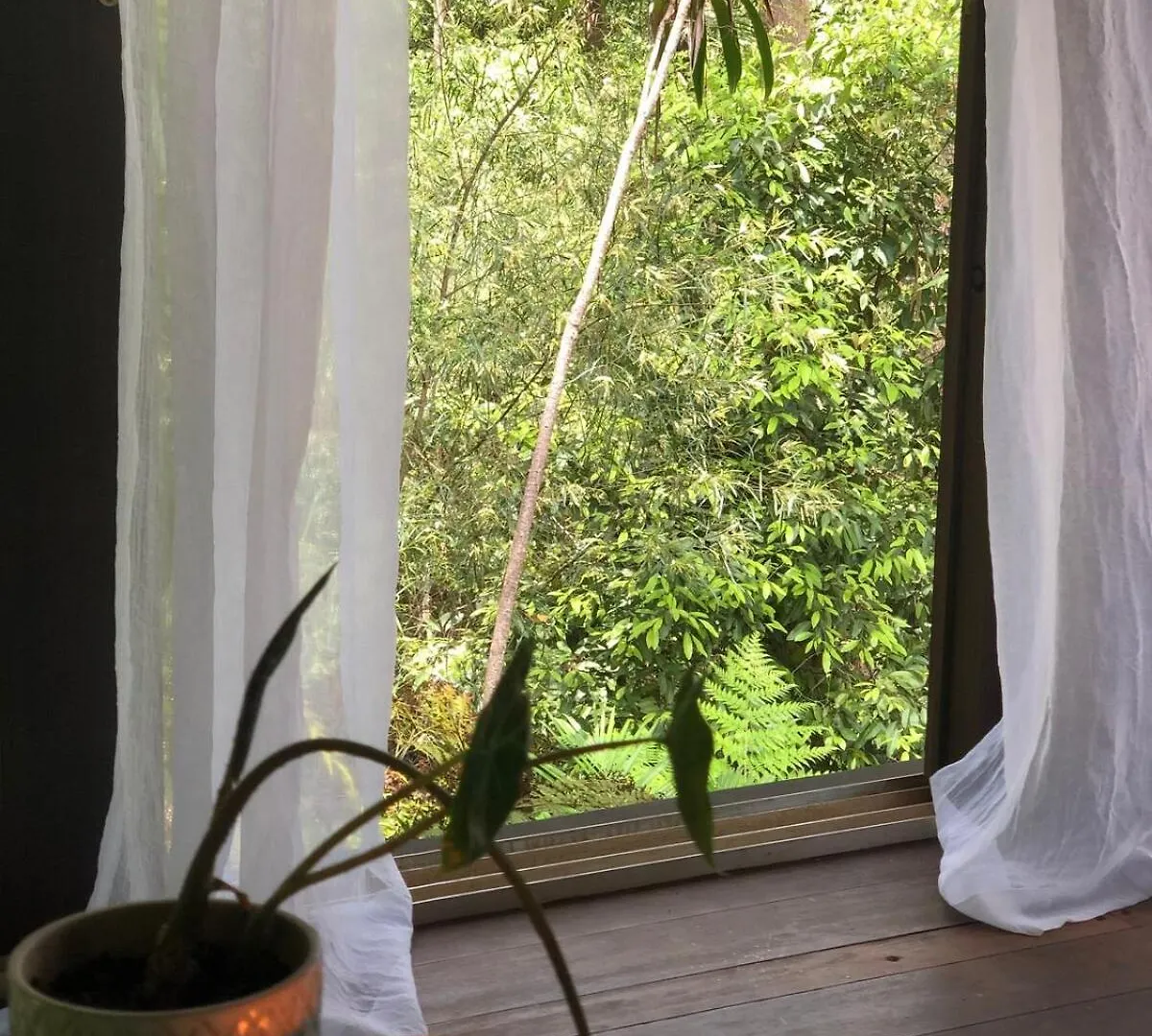 Earthly Retreat - Private Noosa Hinterland Getaway Lejlighed Doonan 0*,  Australien