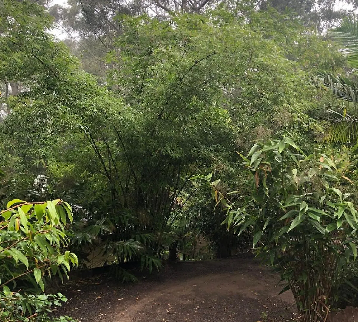 Earthly Retreat - Private Noosa Hinterland Getaway Lejlighed Doonan