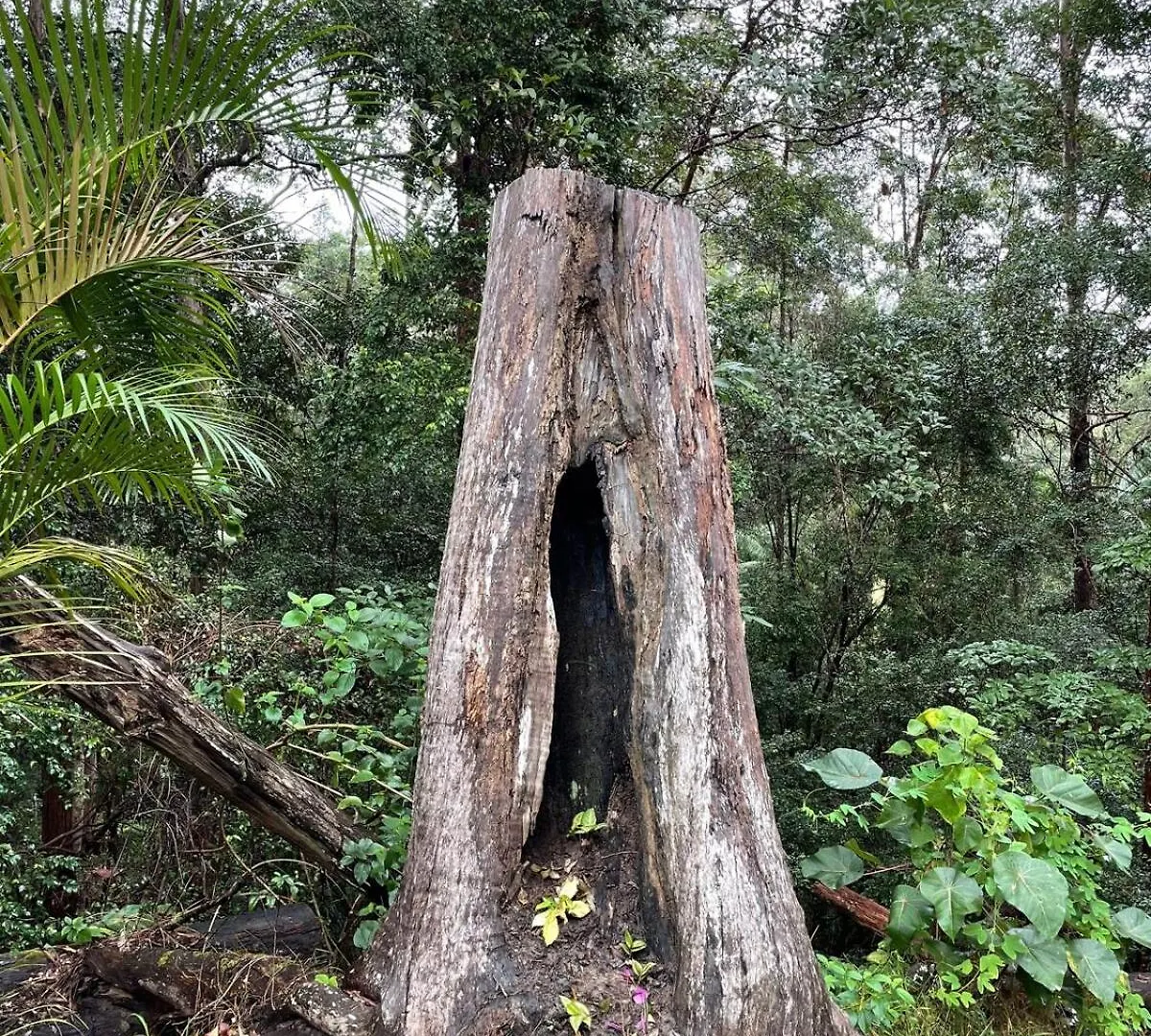 Earthly Retreat - Private Noosa Hinterland Getaway Lejlighed Doonan 0*,